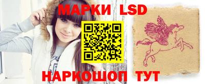 прущие грибы Краснодар