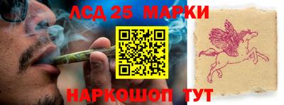 прущие грибы Краснодар