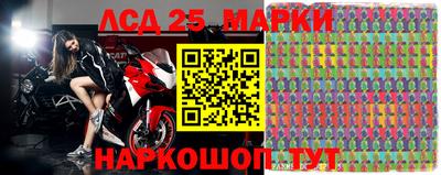 прущие грибы Краснодар