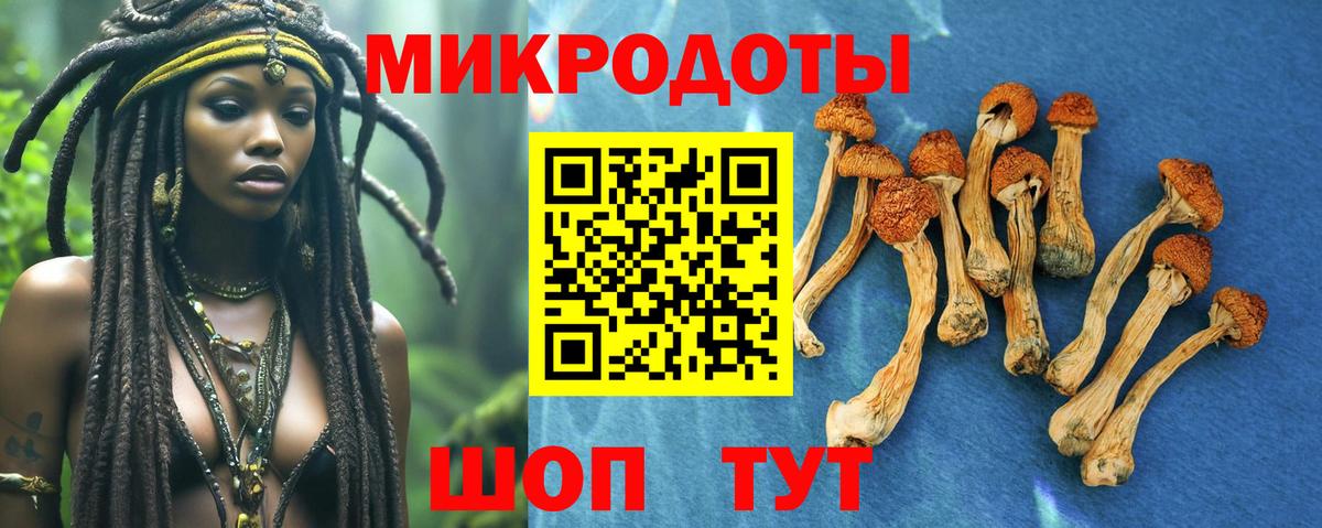 Ижевск  Галлюциногенные грибы мицелий  Вход с VPN 